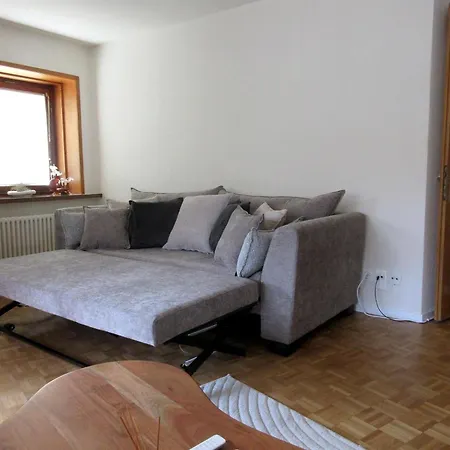 Modern Alpine Terrace * 达沃斯