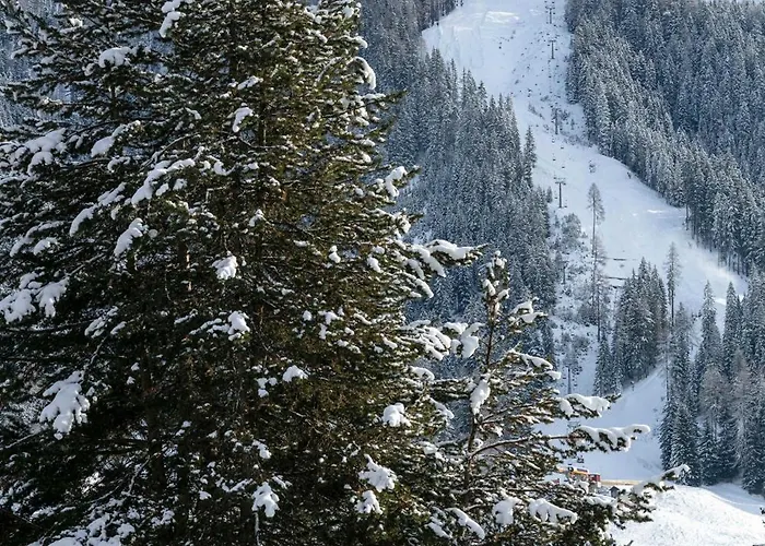 Modern Alpine Terrace 公寓 *