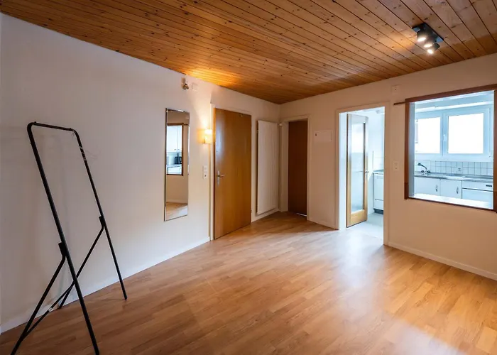 Modern Alpine Terrace 达沃斯